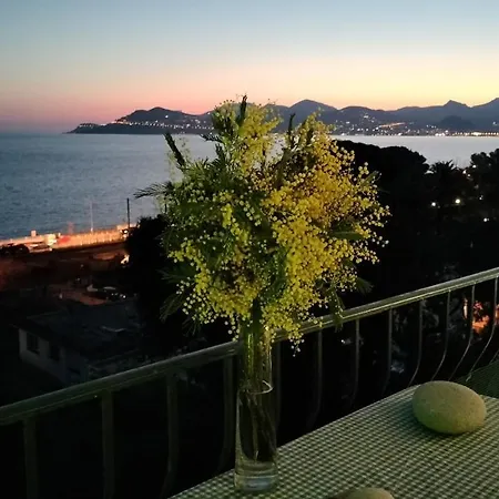 Vue Panoramique, 150m, Terrasse, Parking Prive, Clim Cannes